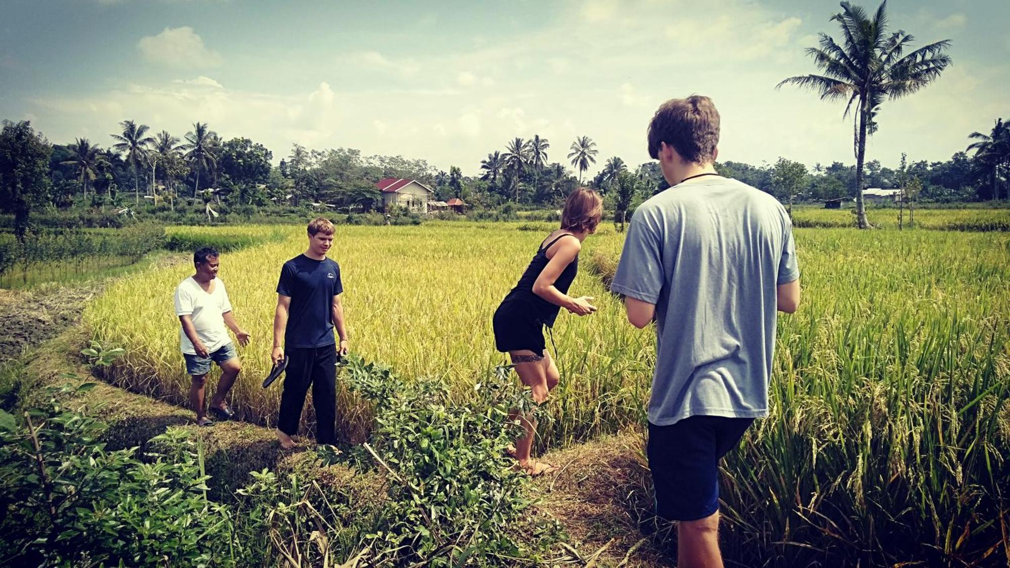 Bujak Permai Villa Matahari Lombok Ntb Praya Esterno foto