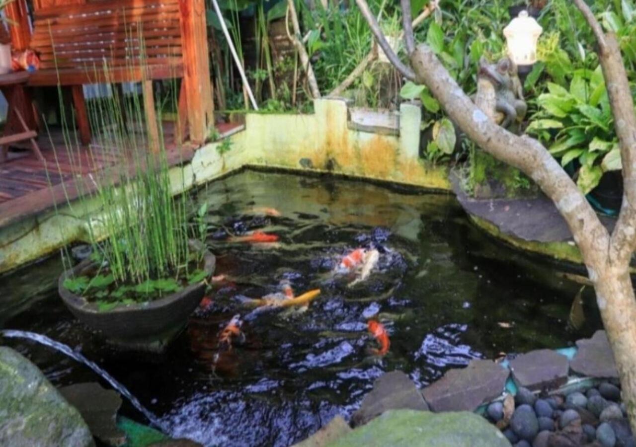 Bujak Permai Villa Matahari Lombok Ntb Praya Esterno foto