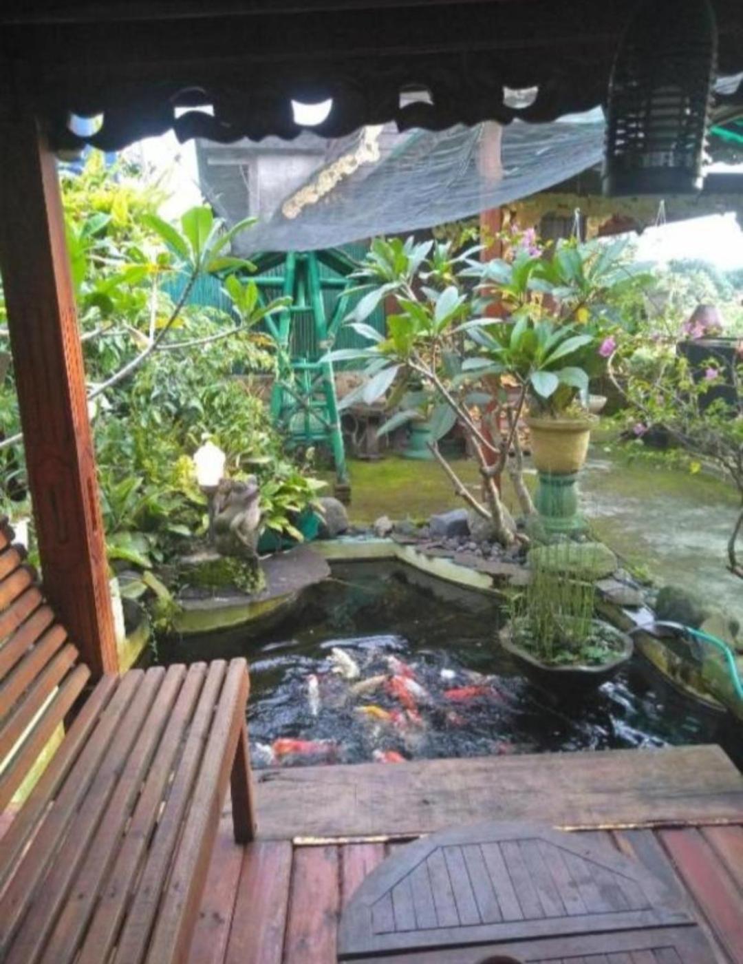 Bujak Permai Villa Matahari Lombok Ntb Praya Esterno foto