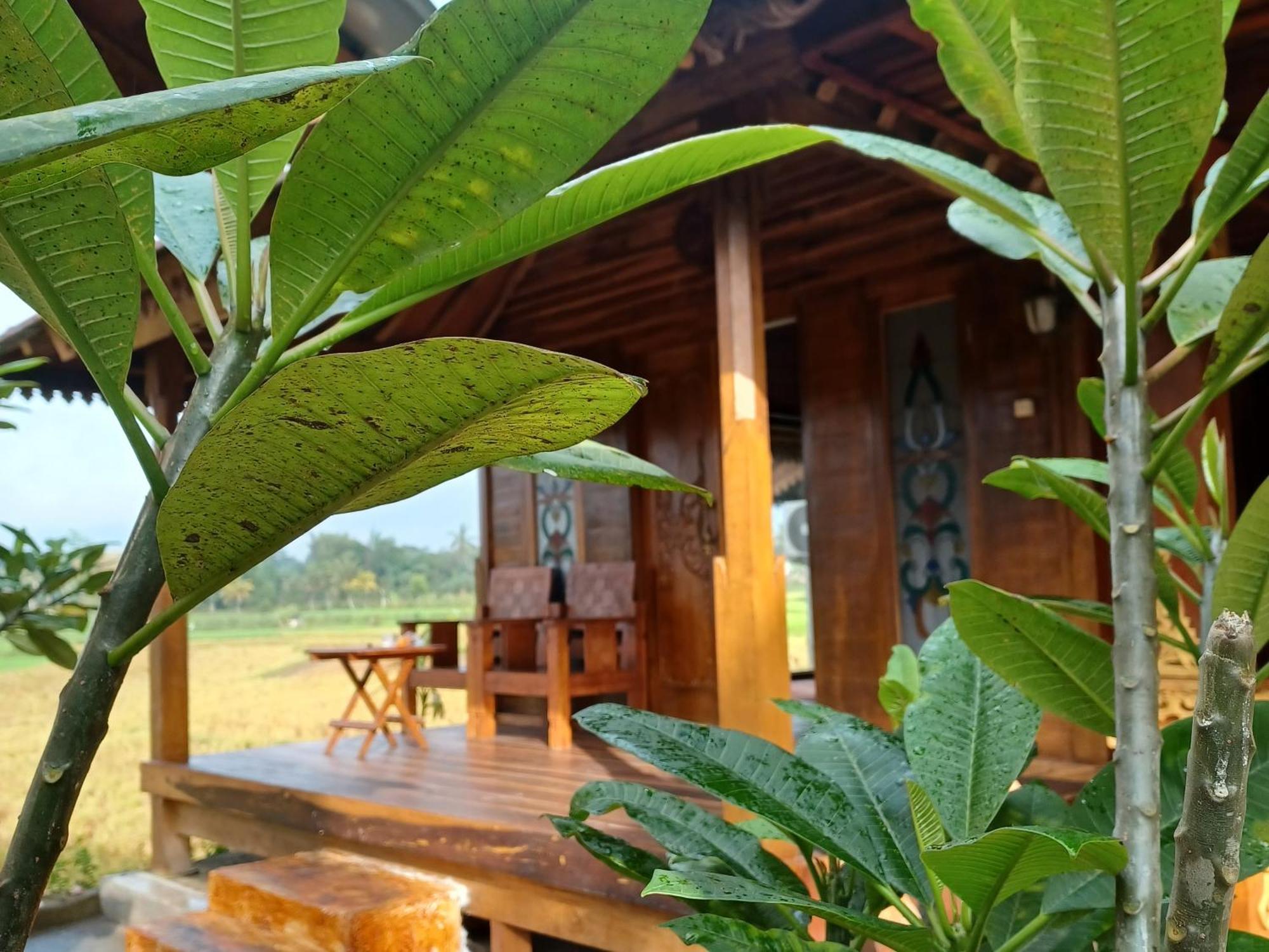 Bujak Permai Villa Matahari Lombok Ntb Praya Esterno foto